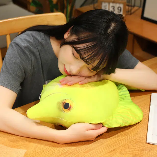30cm50cm70cm