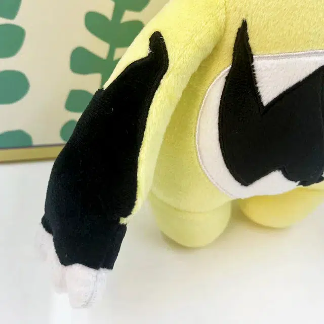 23cm
