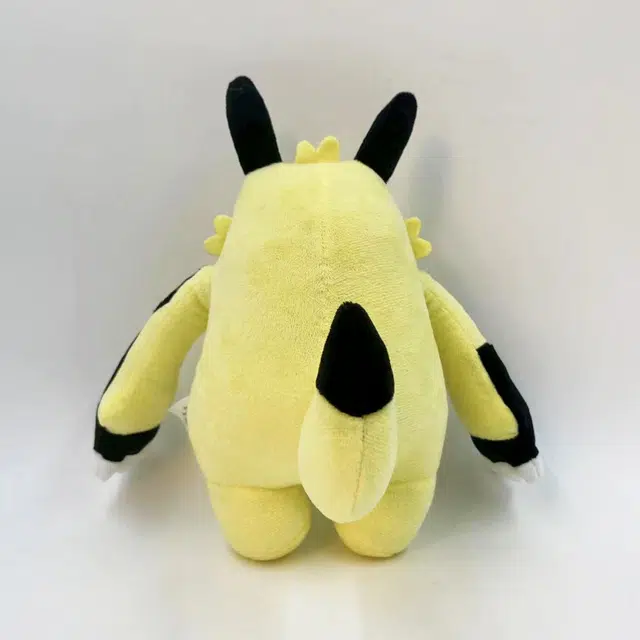 23cm