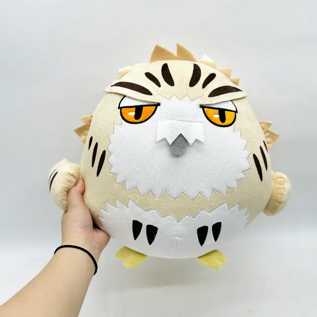 30cm