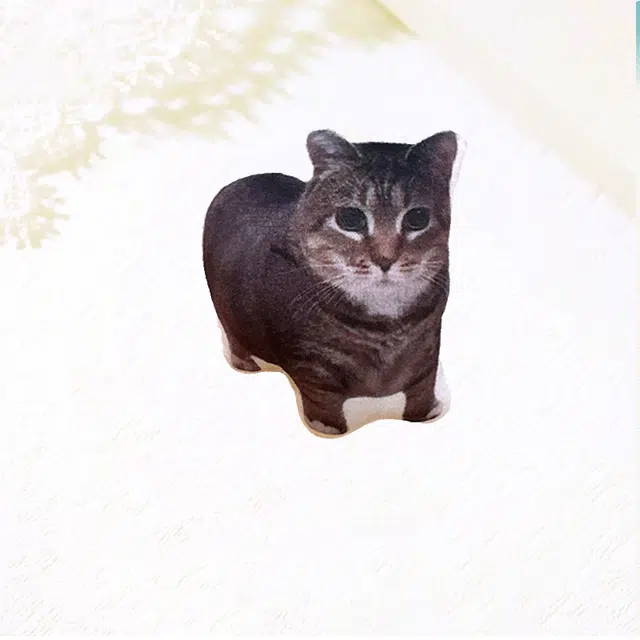 )
