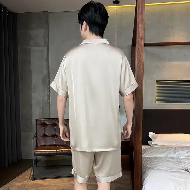 怀尔蔚 可外穿舒适亲肤百搭翻领短袖睡衣套装 男款 图片色