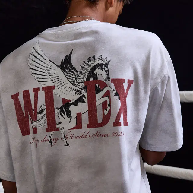 WILDX PegasusT