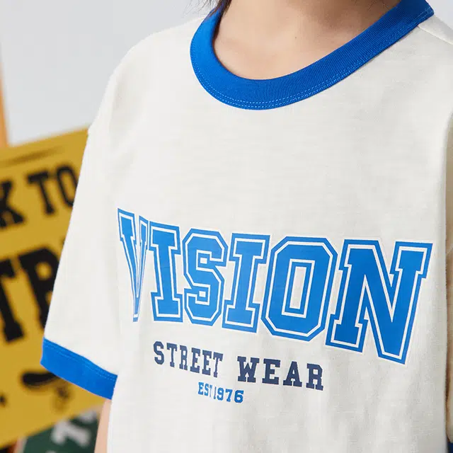 Vision Street Wear T