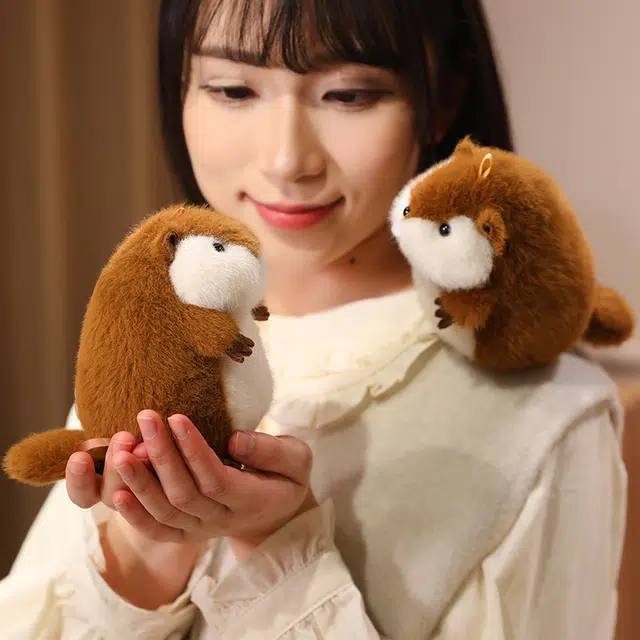 12cm35cm