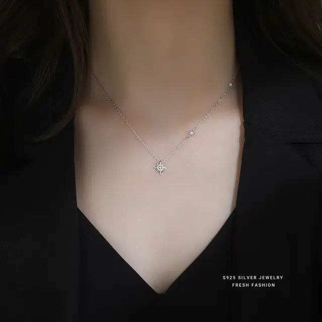 ins S925