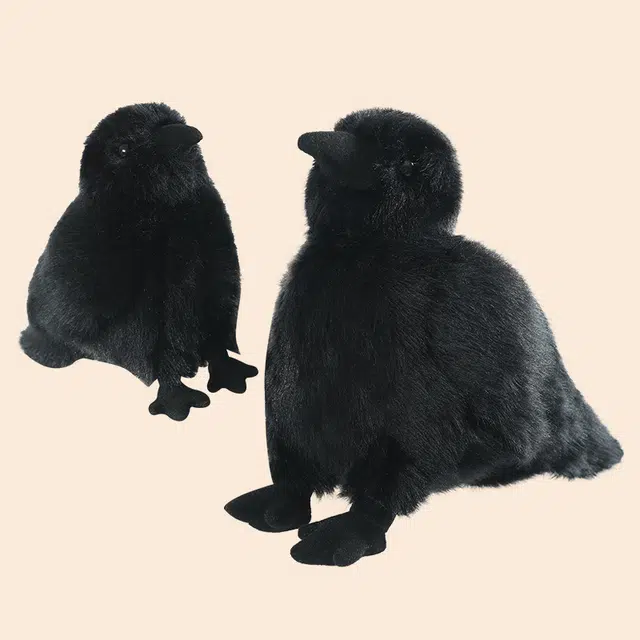 15cm25cm35cm