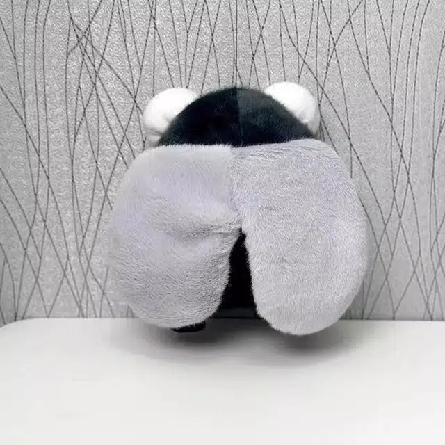 19.5cm