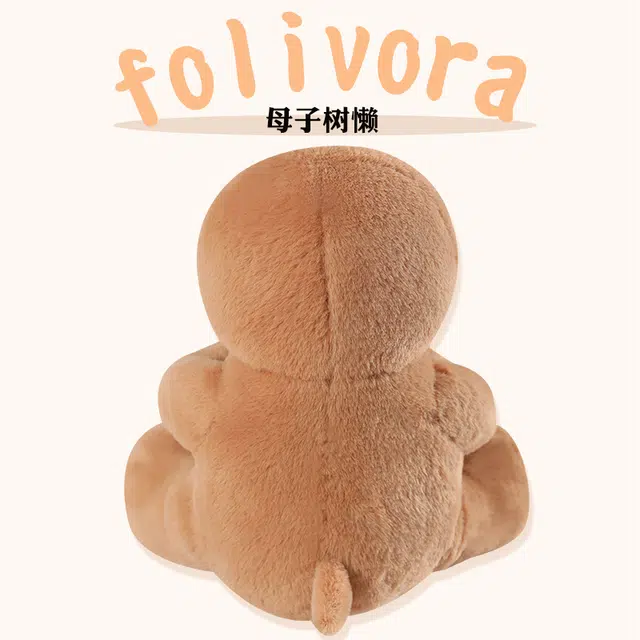 20cm30cm