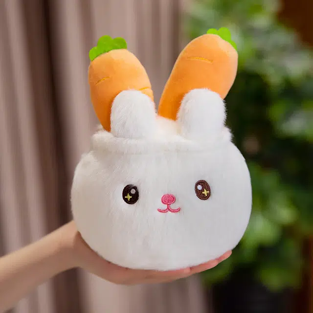 20cm