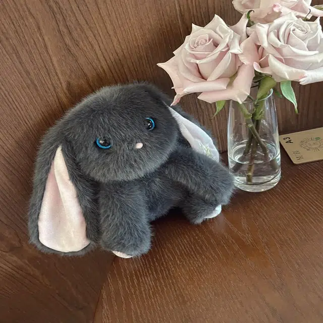 25cm