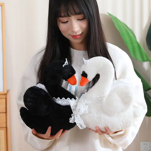 28cm38cm