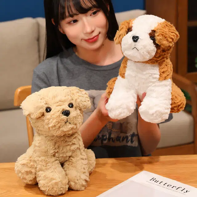 26cm