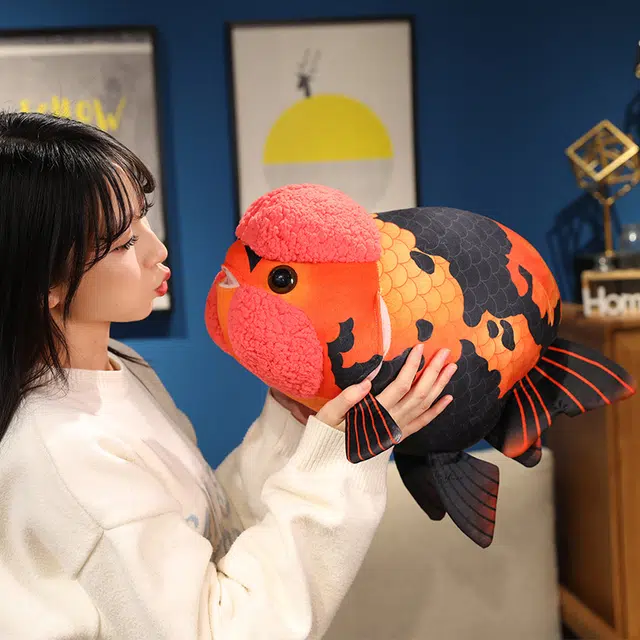 50cm
