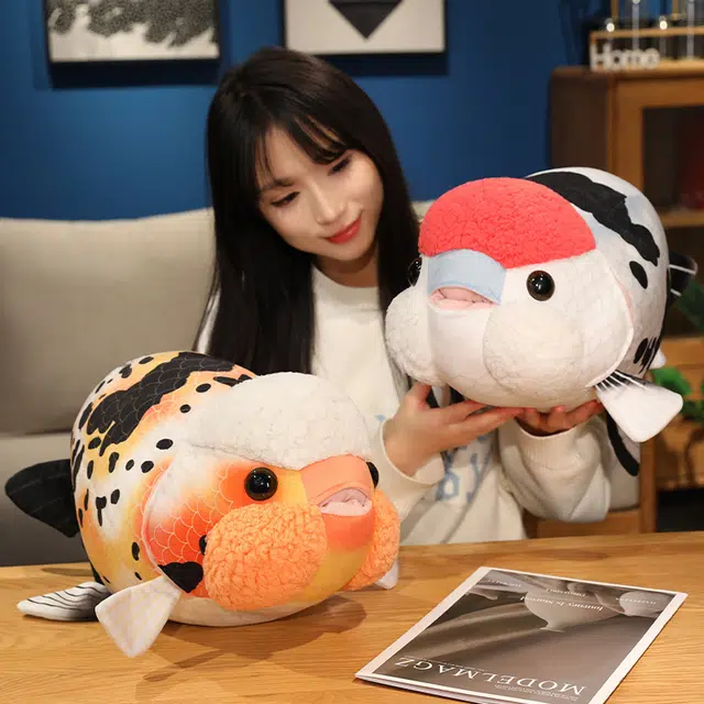 50cm