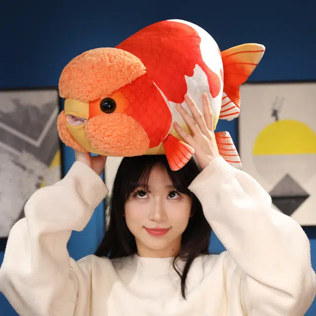 50cm