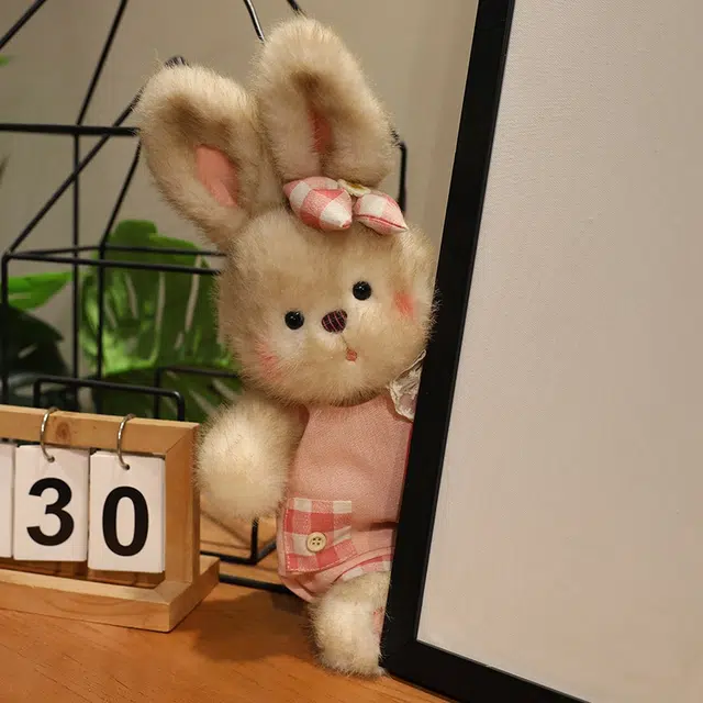 35cm50cm