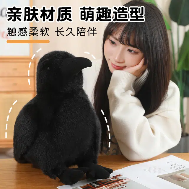 15cm25cm35cm