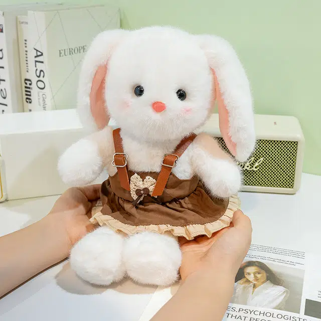 25cm