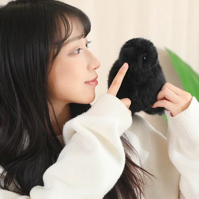 15cm25cm35cm