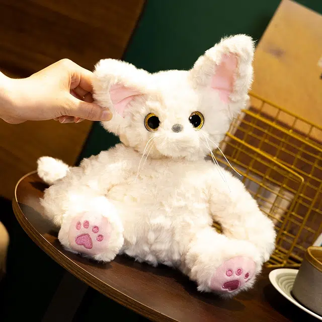 26cm