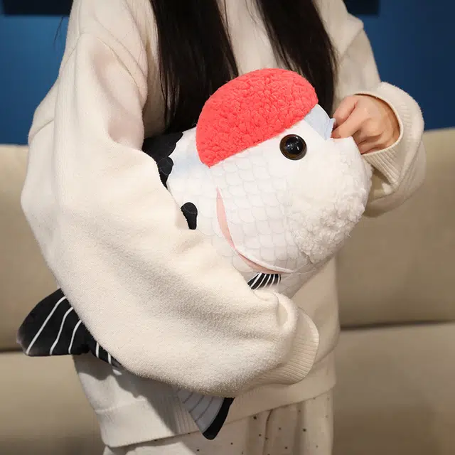50cm