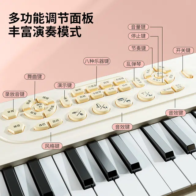 喜迪奇 多功能电子琴带话筒 玩具