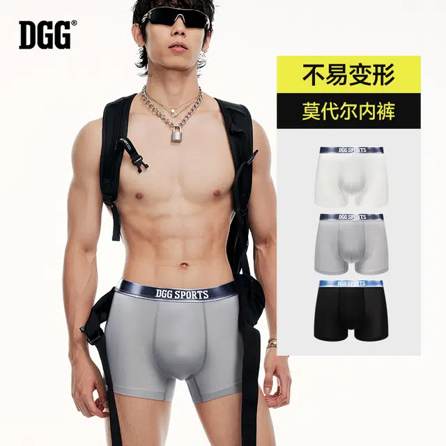DGG 3