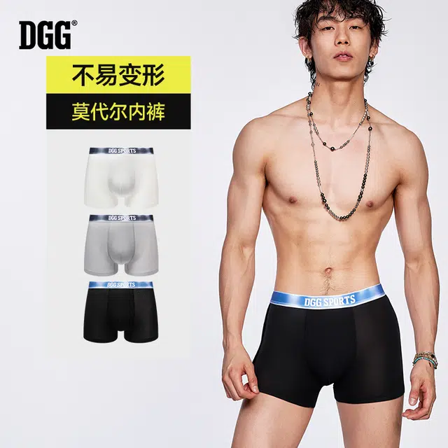 DGG 3