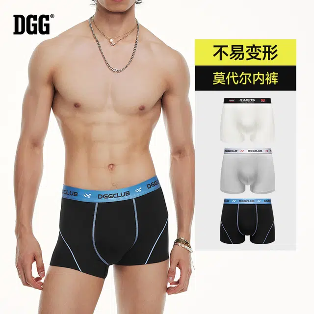 DGG 3