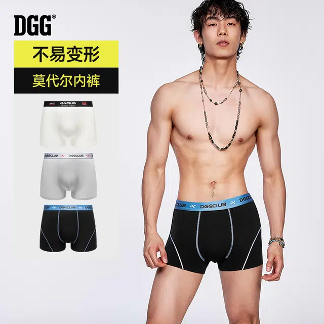 DGG 3