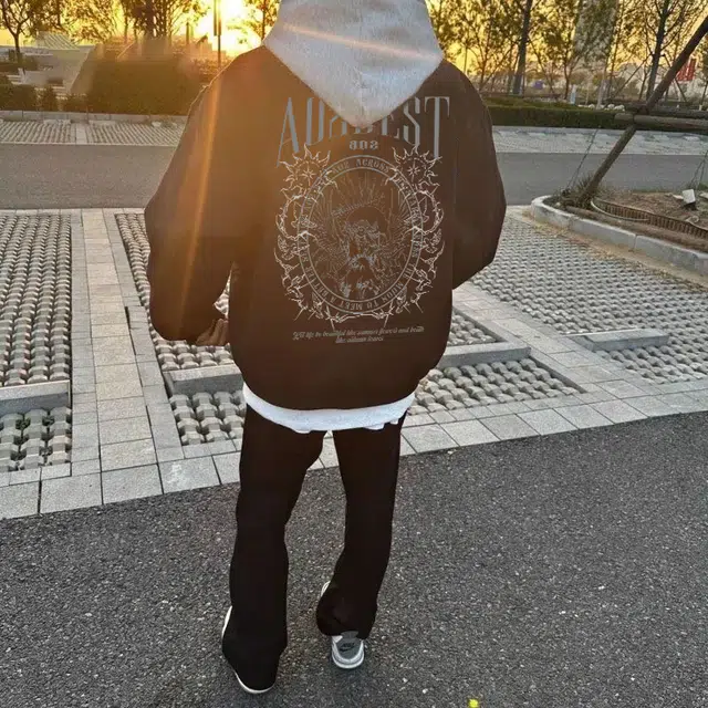 a02 LOGOins
