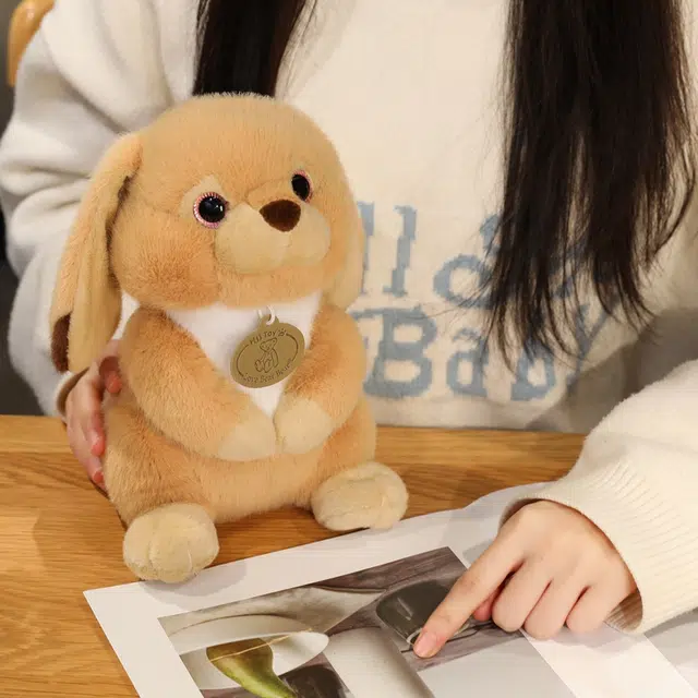 23cm