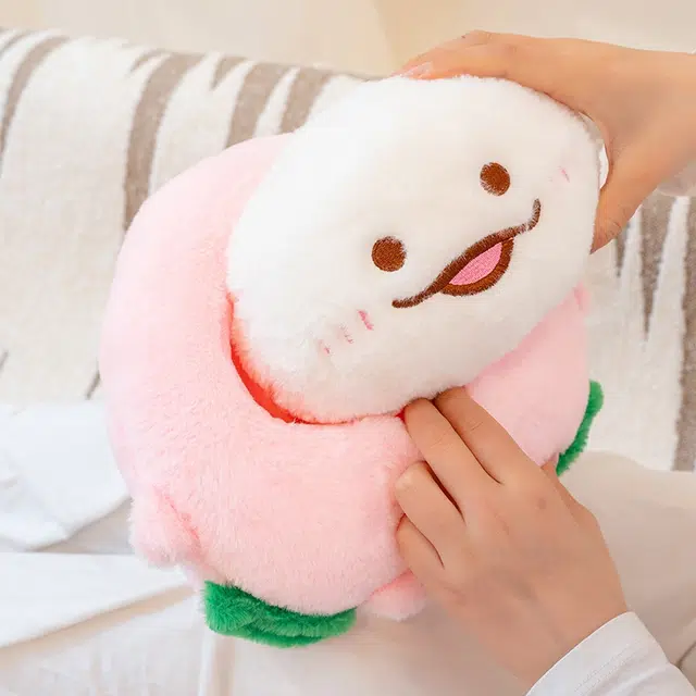 22cm30cm