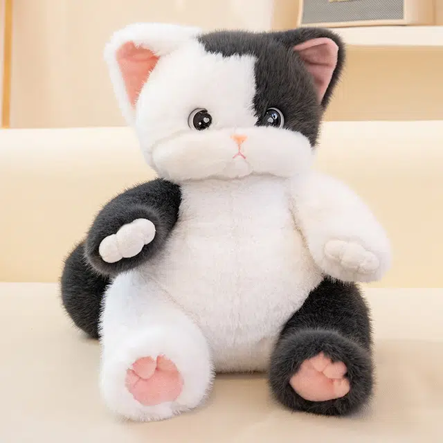 30cm