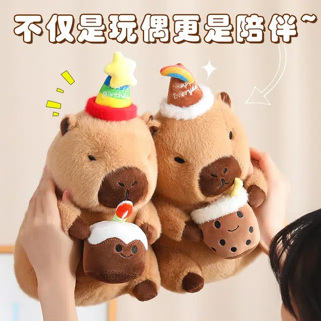 30cm40cm
