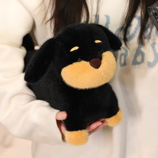 28cm38cm