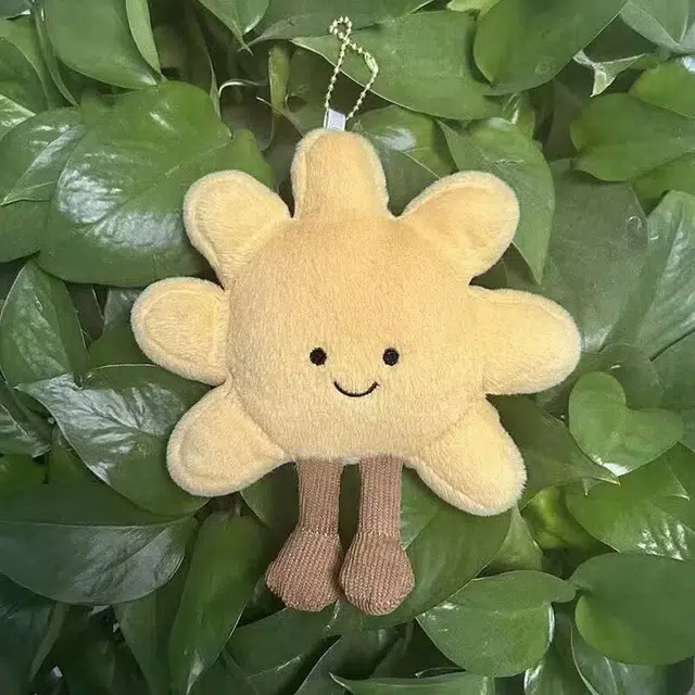 15cm