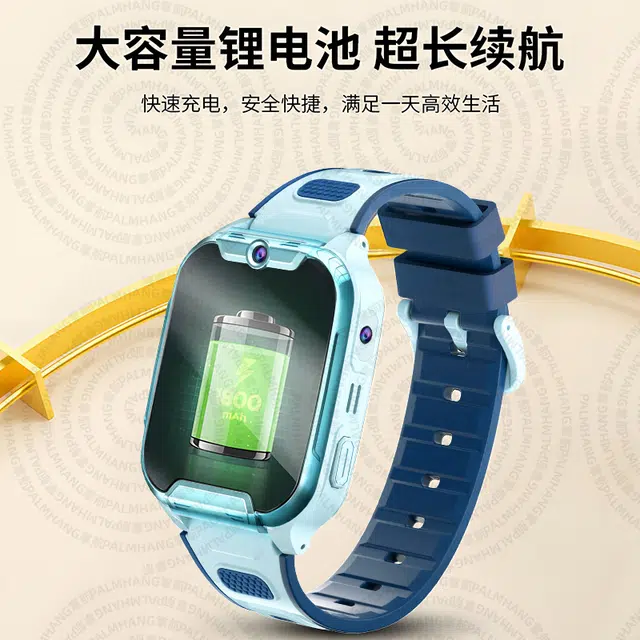 PALMHANG -