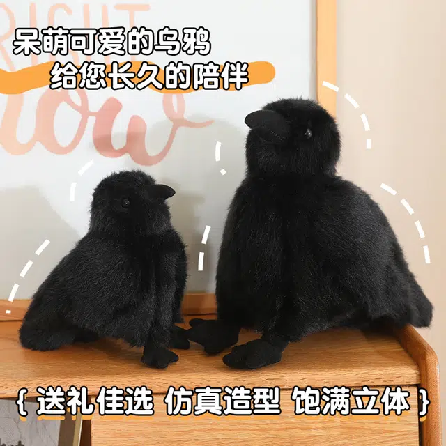 15cm25cm35cm
