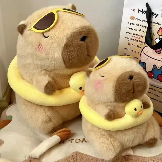 30cm40cm50cm