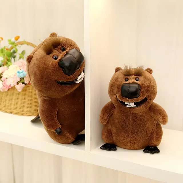 22cm30cm