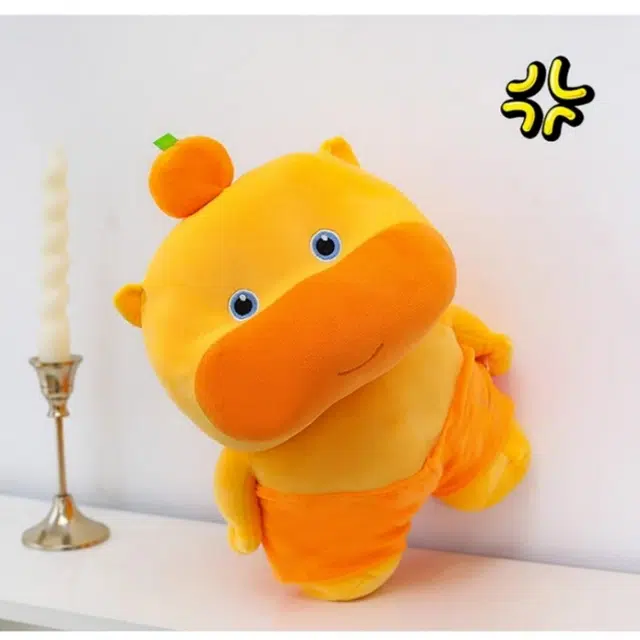 25cm35cm
