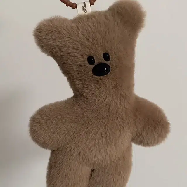 12cm