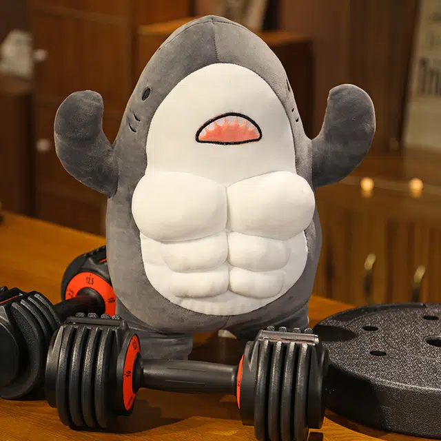 45cm60cm