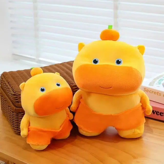 25cm35cm