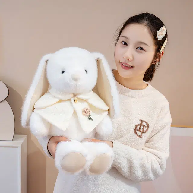 38cm50cm