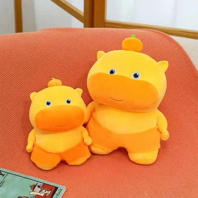 25cm35cm