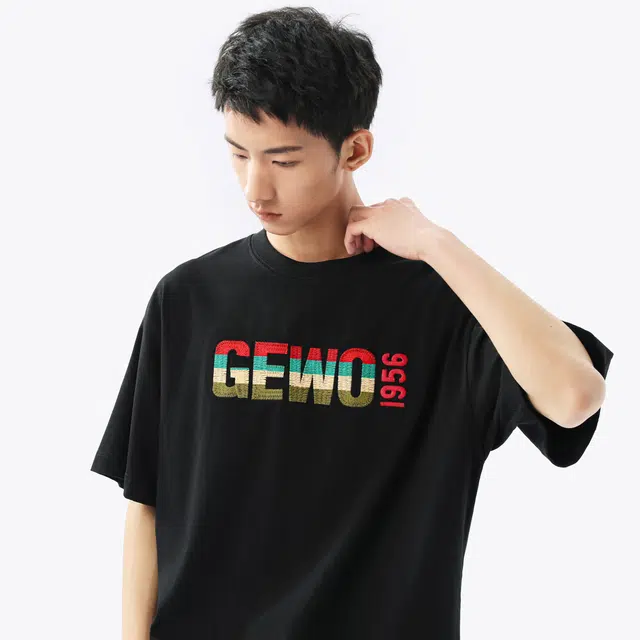 GEWO 270glogoT