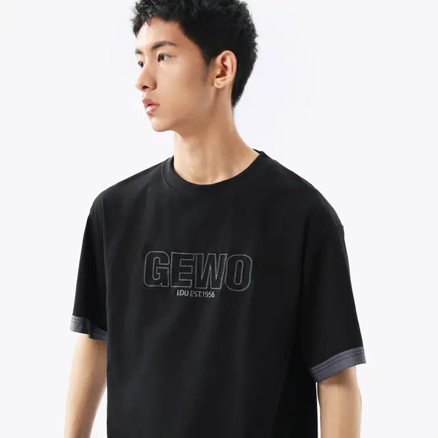 GEWO 270glogoT